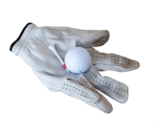 golfhandschuh.de